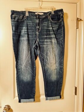 Signature by Levi Strauss‎ Blue Medium Wash Women's Size 22 Boyfriend Jeans